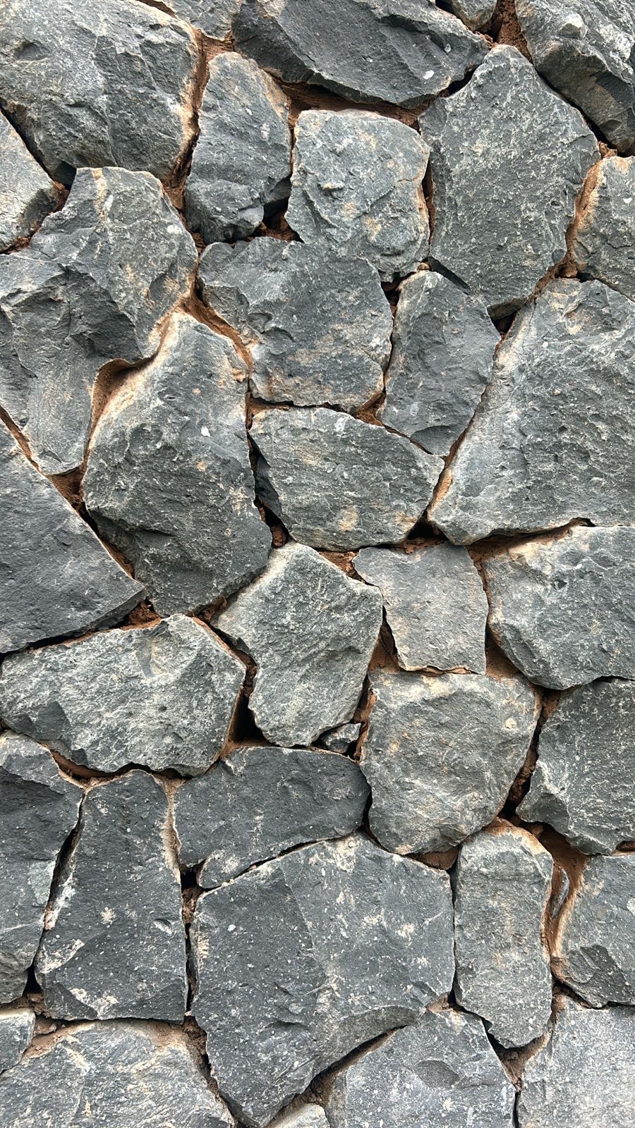 image00016